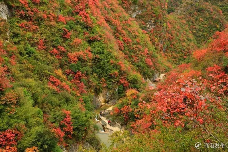 世间百媚千红,吾独爱天蓬山寨秋色绚烂