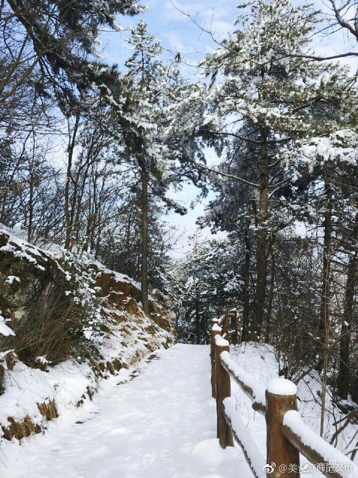 美爆了的秦岭雪景,这里看!