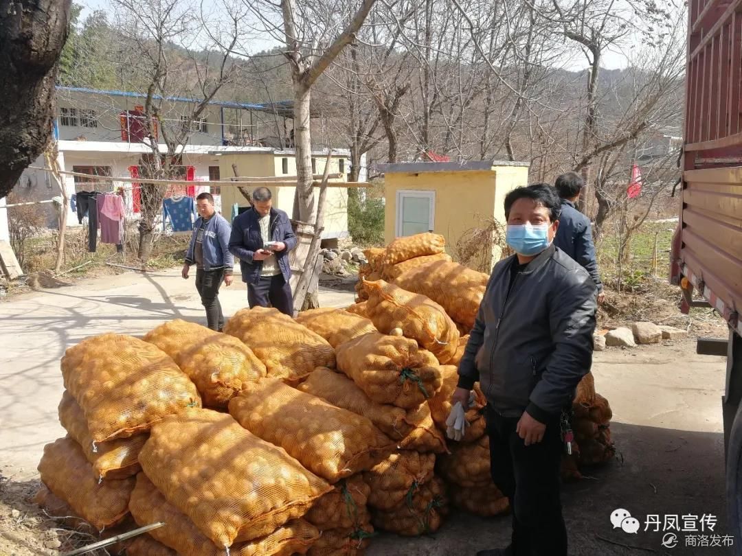 丹凤县武关镇"三个三"工作法保障抗疫生产两不误