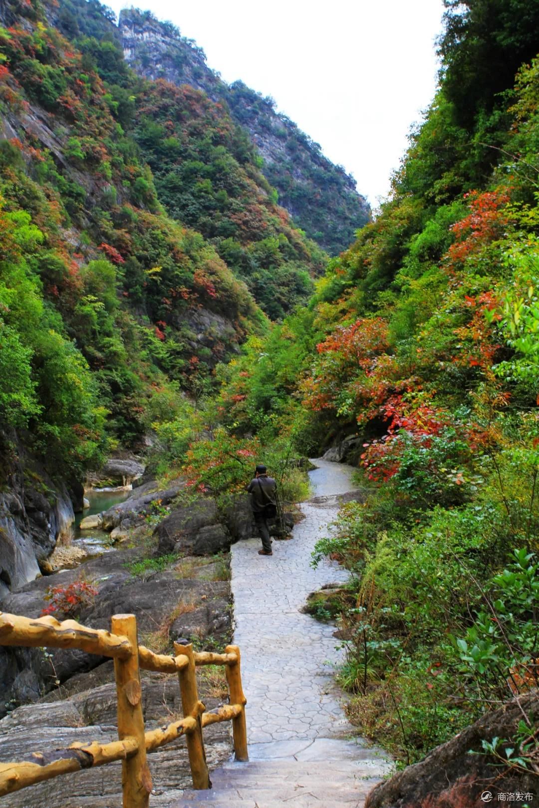 山阳天蓬山寨红叶节即将开启怎么玩看这里