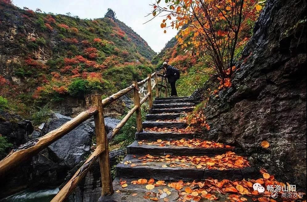 天蓬山寨—无关八戒的小寨