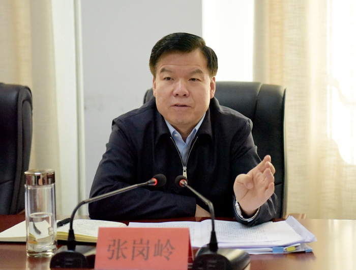 张岗岭在商州丹凤调研人大工作时强调