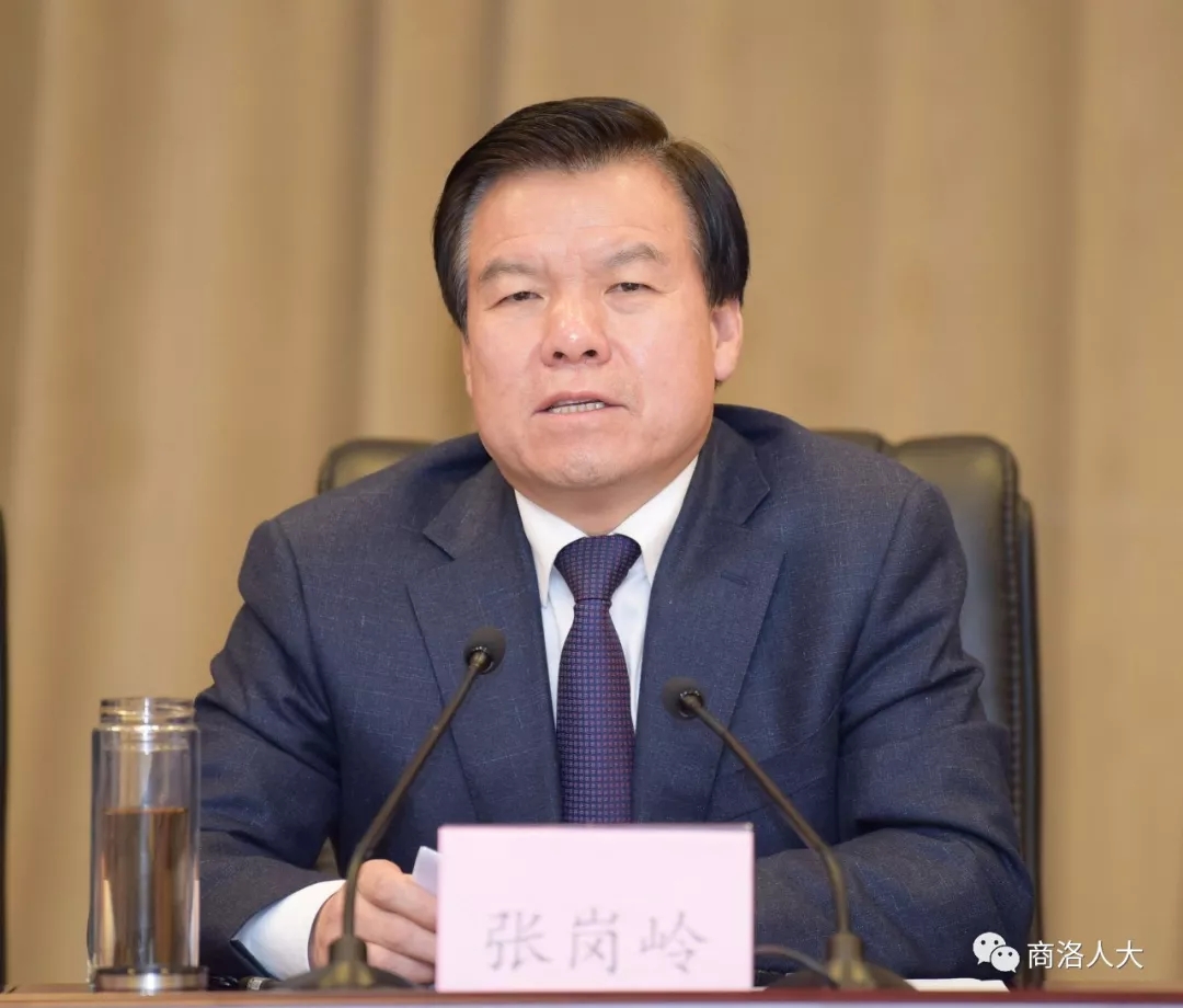 张岗岭主持会议并讲话