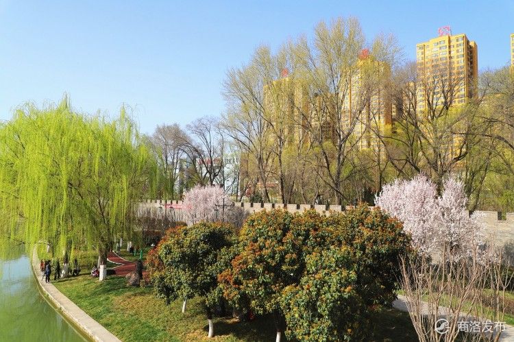 春日的商洛莲湖公园美景如画