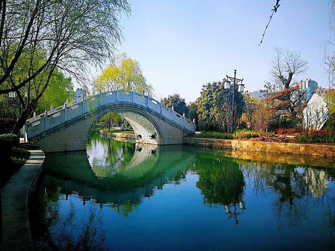 莲湖公园,春色醉人