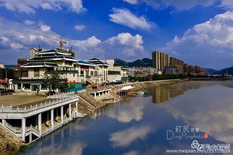 美丽丹凤(摄影:张钉民)