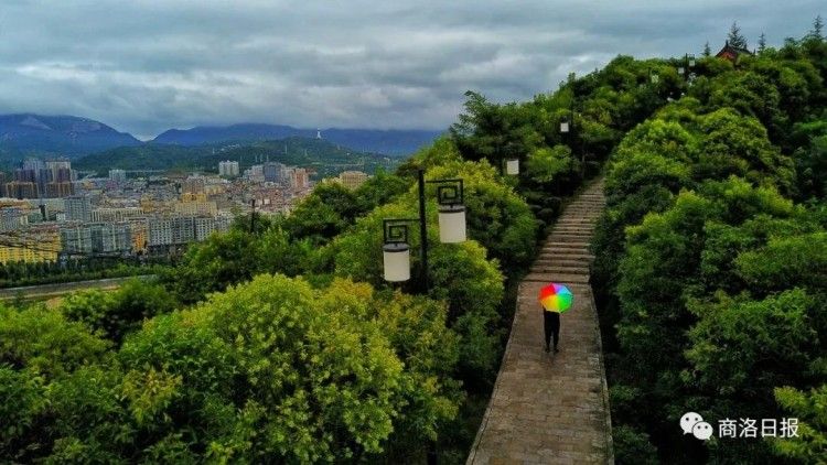 航拍龜山公園一角