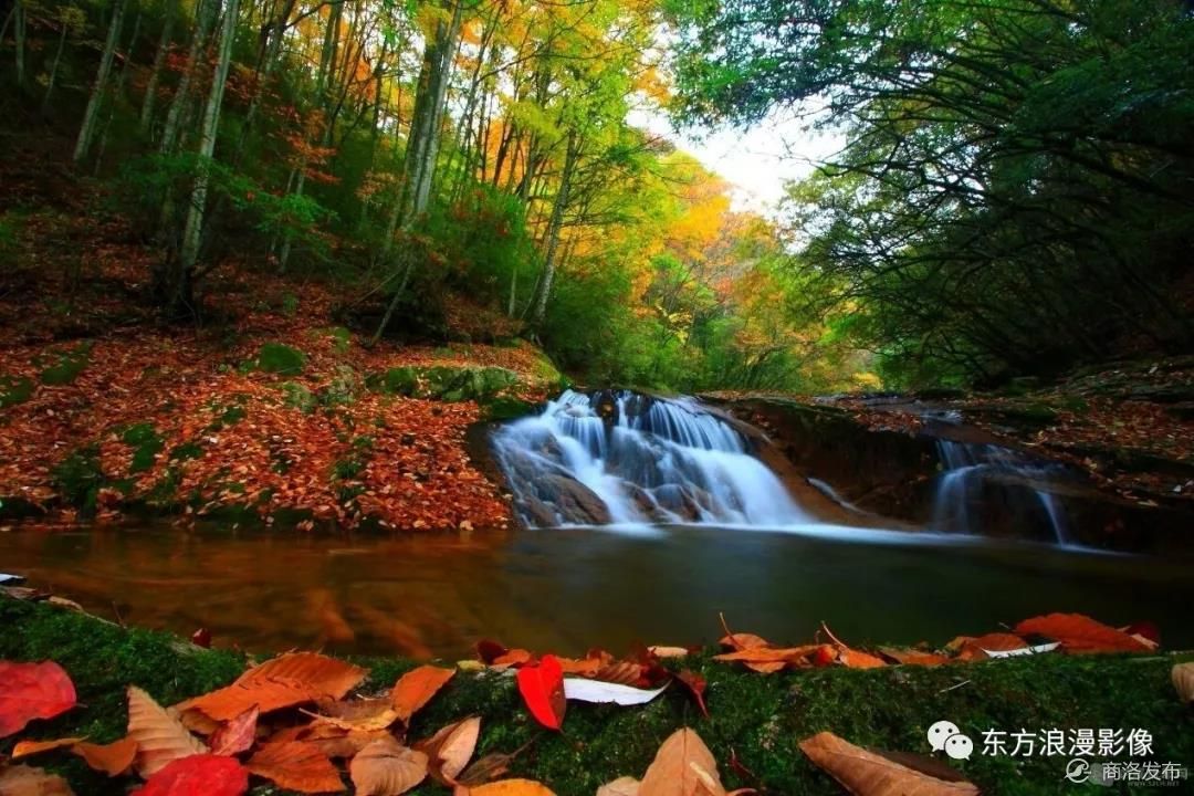 黄花岭—最美赏秋自驾游公路(附美图)