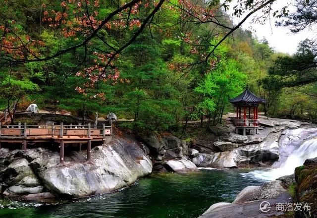 玩转商洛 住宿推荐:木王杜鹃国际度假山庄位于木王国家森林公园主入口