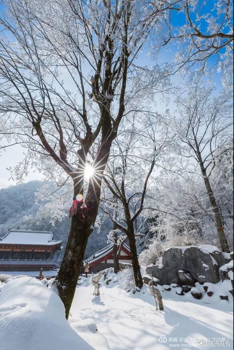 秦岭岭南公园雪景图片