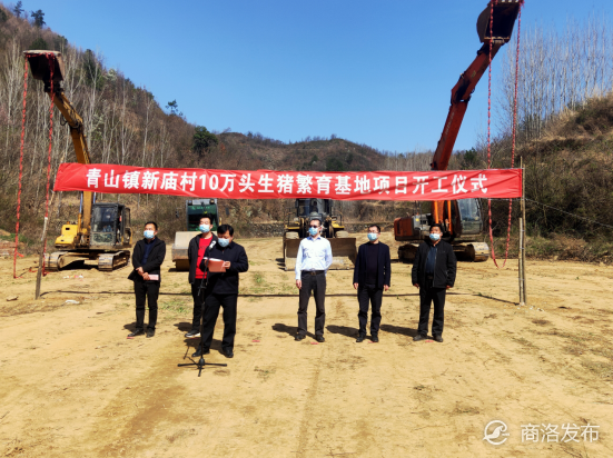 商南县青山镇10万头生猪繁育基地正式开工