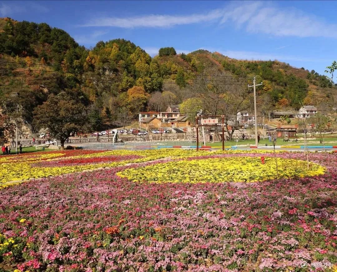 美麗鄉村畫中來,洛南