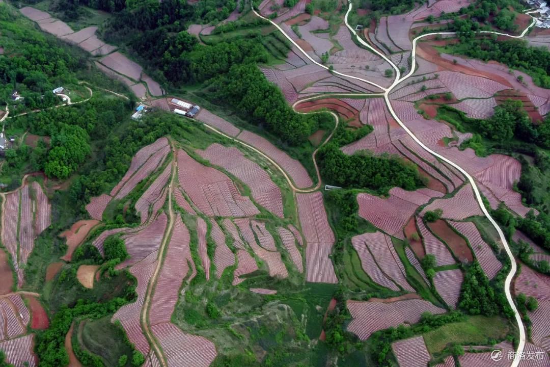 梁塬"画卷"