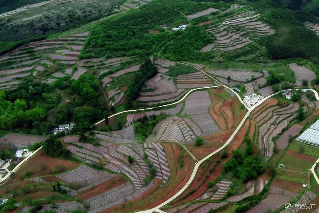 梁塬"画卷"