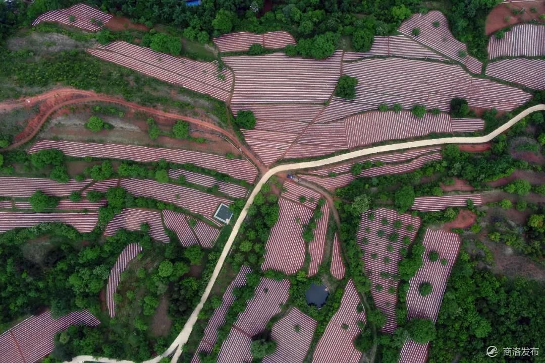 梁塬"画卷"