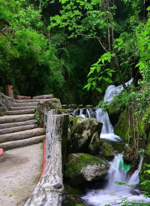 七月来柞水,在绿色"海洋"里独享夏日清凉!