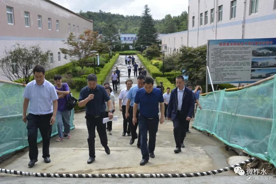崔孝栓督导检查柞水县重大项目建设情况