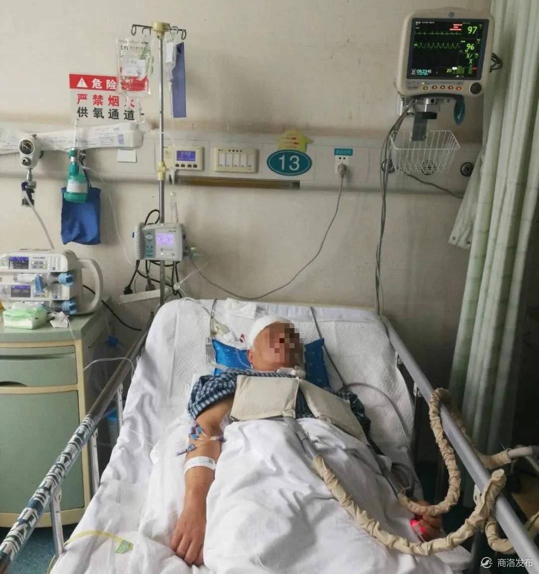 一家六口四人接连患重病住进医院商洛乡村教师含泪求助