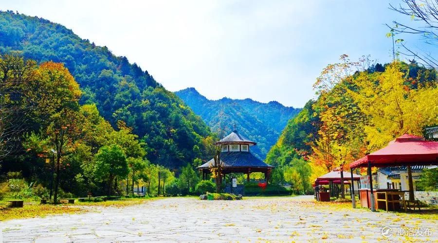 位于商南县的金丝峡是陕南唯一的5a级景区,峡谷以窄,幽,秀,奇而闻名