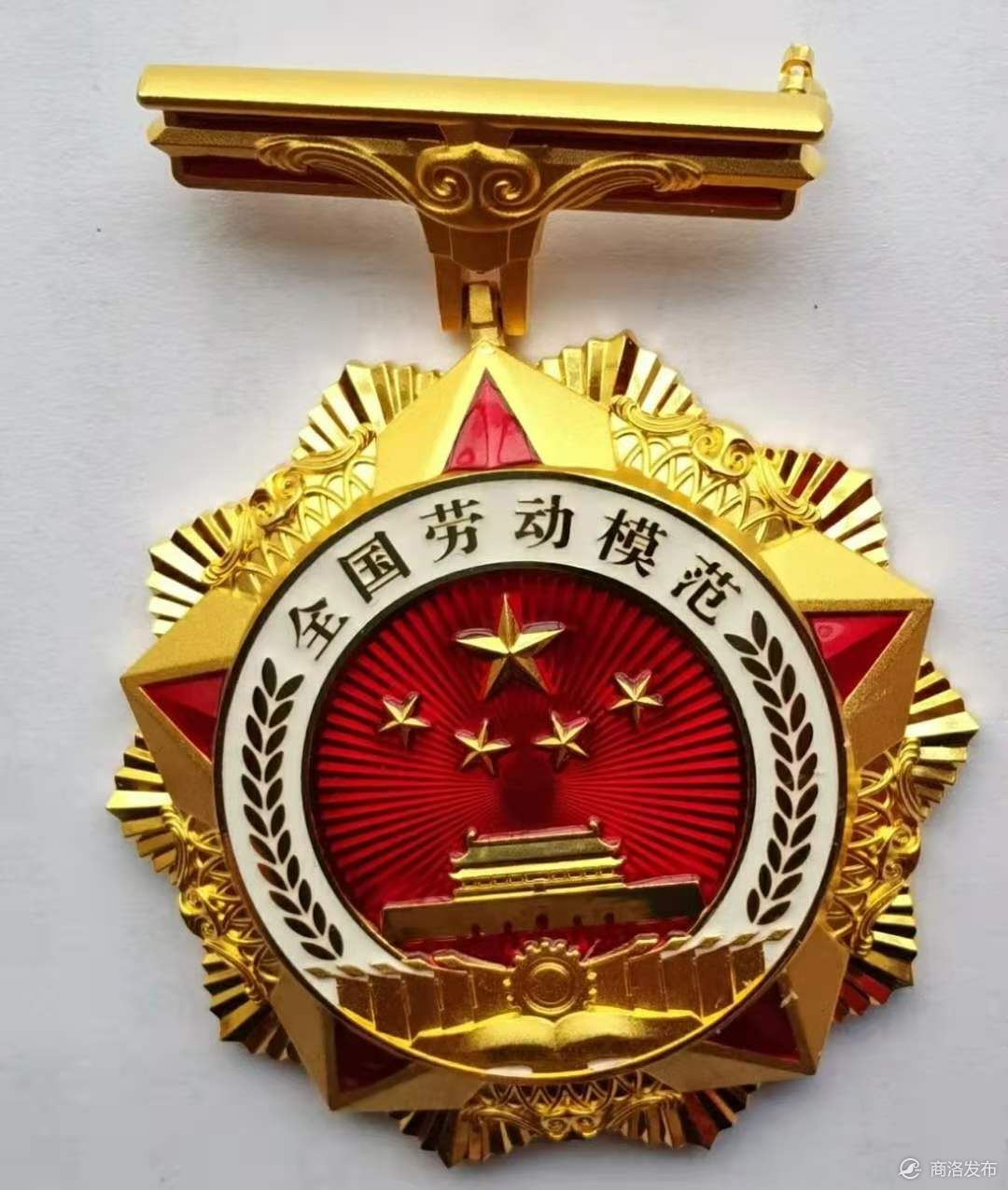 1956年全国劳模奖章图片