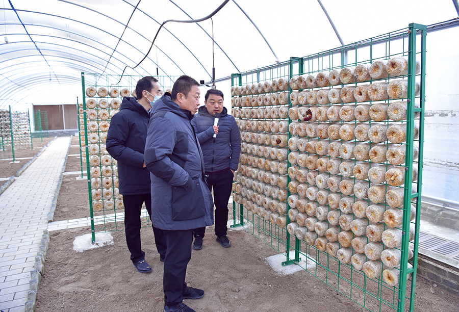 市人大主任张凯盈赴柞水县调研大健康产业发展情况