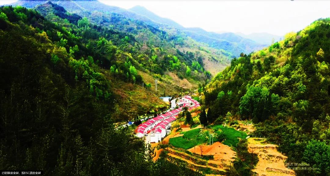 春来一小院,花开满枝头,四月的镇安岩湾村处处皆美景!