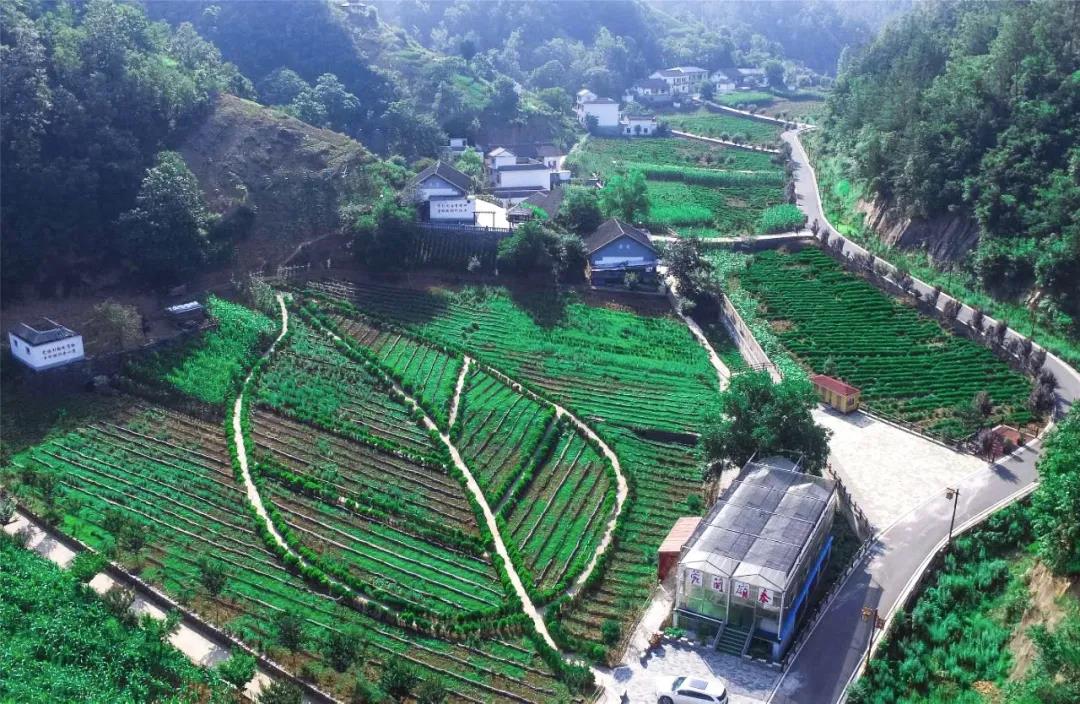 丹凤县武关镇筑牢返贫致贫风险防火墙