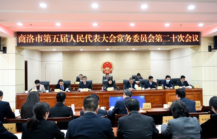 市五届人大常委会召开第二十次会议