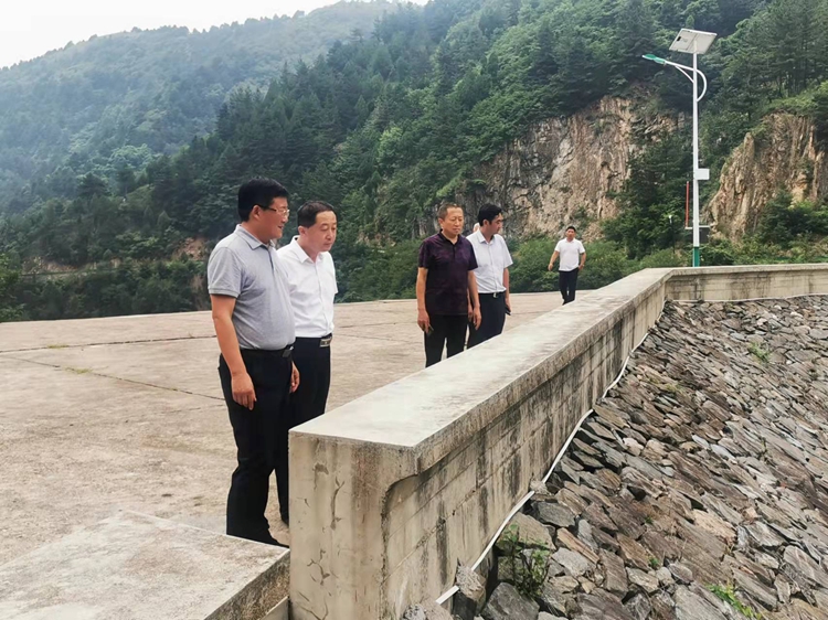 丹凤县督查指导防汛工作>在棣花镇苗沟水库察看水库防汛情况在棣花镇