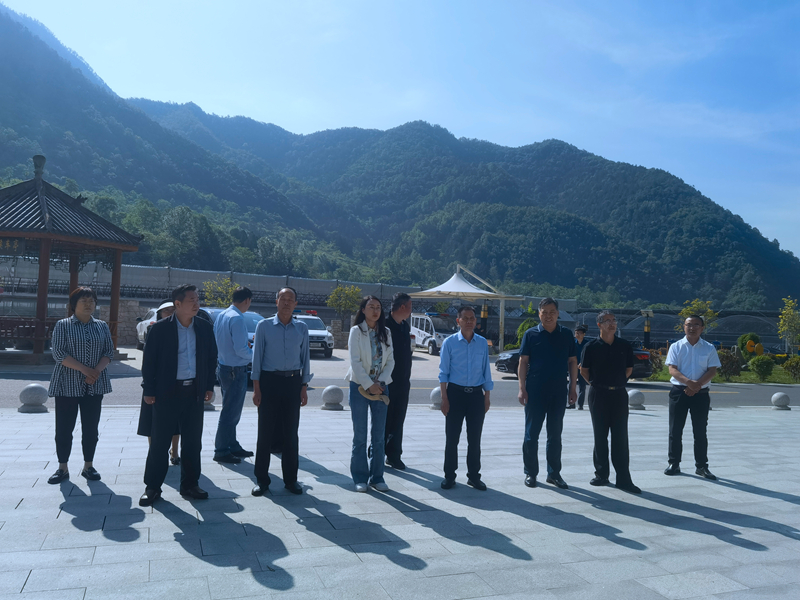 司法局,税务局,检察院,第三小学,月河镇罗家营村,柞水县小岭镇金米村