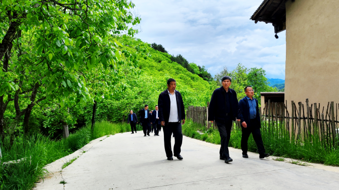 商洛市委常委副市长市副总林长李波开展巡林工作