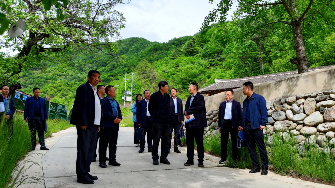 商洛市委常委副市长市副总林长李波开展巡林工作