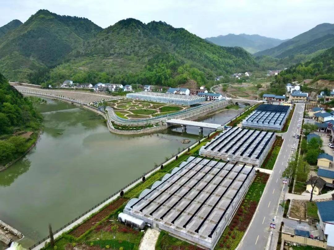 丹凤县新增一家省级龙头企业-商洛市科技局